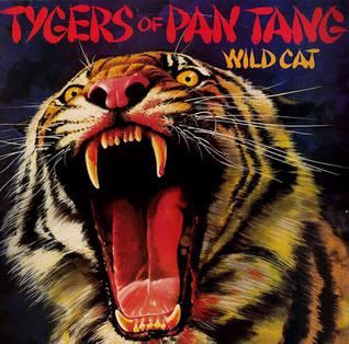 TIGERS-WILD-CAT.jpg