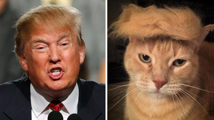 donald-trump-funny-look-alike-7__700.jpg