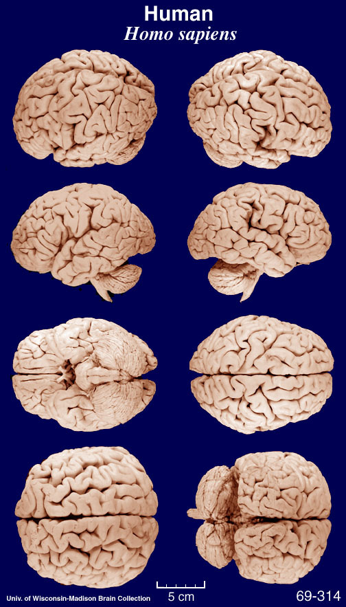 human8sect6.jpg