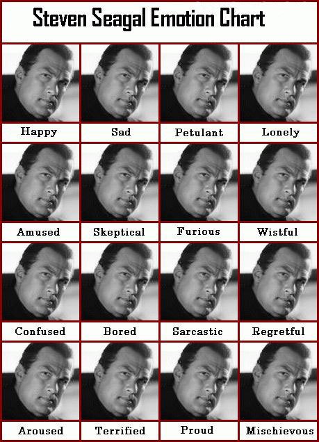 steven-seagal-emotion-chart.jpg