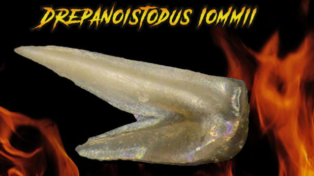 tonyiommifossil2.jpeg