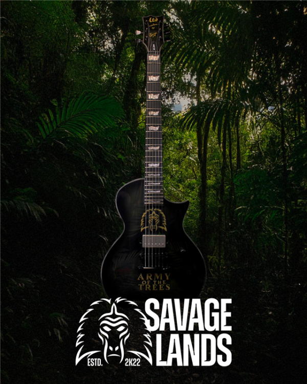 savagelandsguitar625-600x750.png