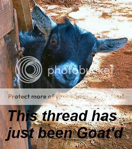 goatd.jpg