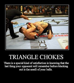 triangle_choke_205.jpg