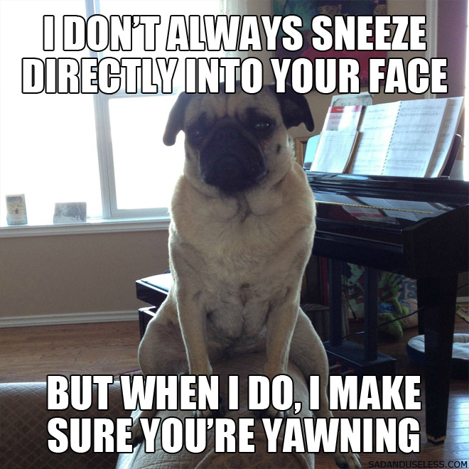 sneeze.jpg