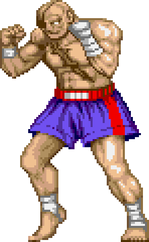 SSF2T_Sagat.gif