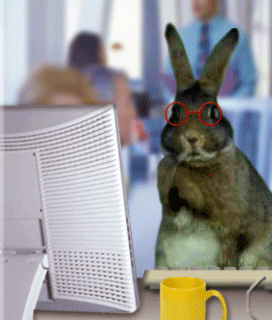 typing-rabbit.gif