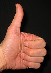 180px-Thumbs_up.jpg