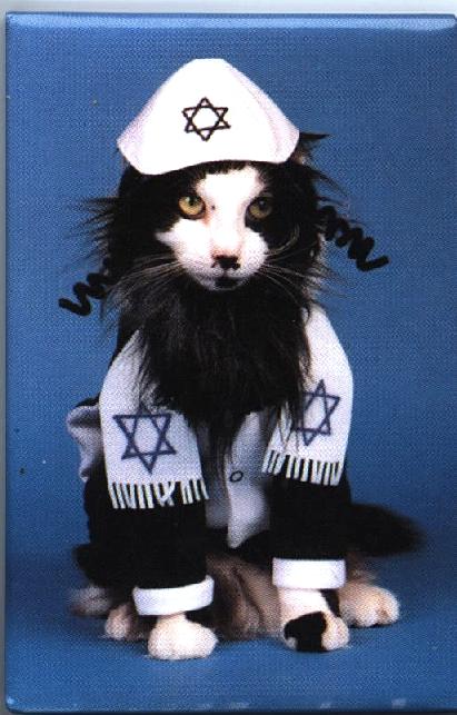 kosherkitty.jpg