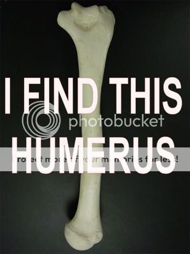 I-Find-Humerus_500x500.jpg