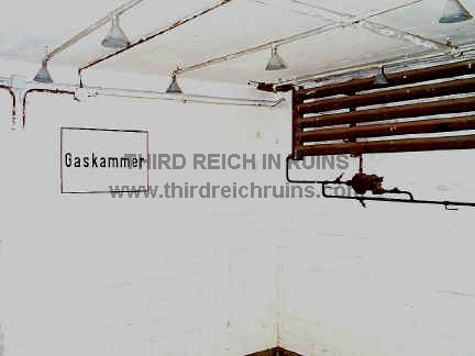 Mautgaschamber.jpg