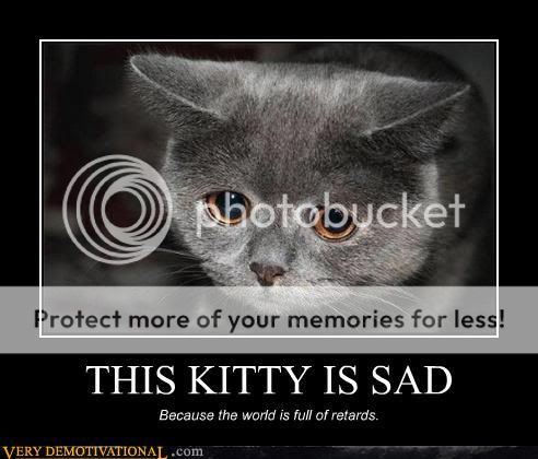 demotivational-posters-this-kitty-is-sad.jpg