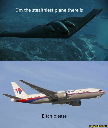 bitch-please-stealth-plane-lost-1131276.jpeg