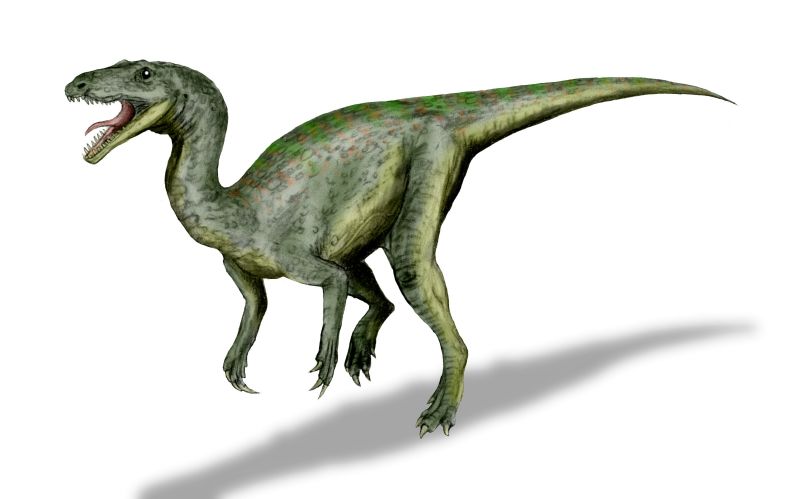 Gojirasaurus_BW.jpg