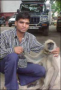 _39403985_langur203.jpg