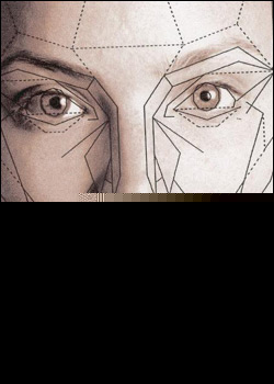 golden_ratio_face.jpg