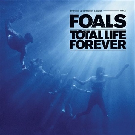 foals_.jpg