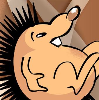 hedgehog.jpg