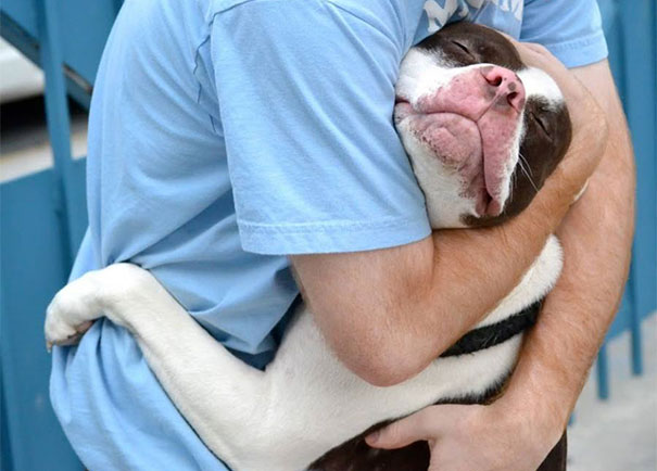 cute-dogs-hugging-humans-102.jpg