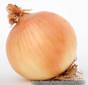 5981097097_onion.jpg