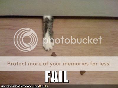funny-pictures-fail-cat-paw.jpg