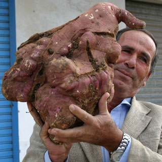 worlds-biggest-potato.jpg