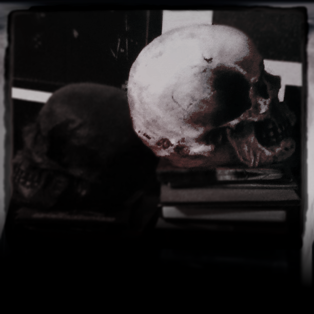 two_skulls_by_gorefisted-d3ixxtg.png