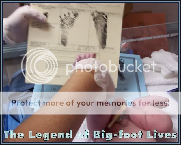 bigfoot.jpg