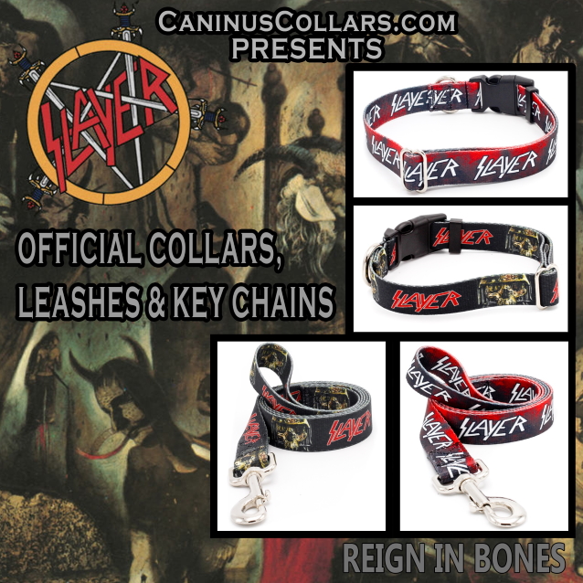 dogcollars3.jpg