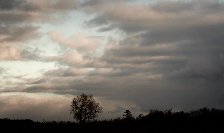 lone_tree_clouds_02.jpg