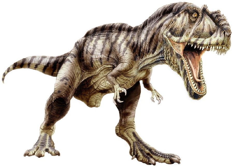 Giganotosaurus%20carolinii_klein1_fa74.jpg