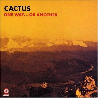 cactus-one-way-or-another.jpg