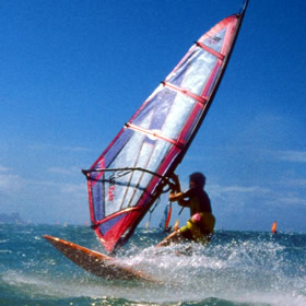 treatme-net-wind-surfing-for-2.jpg