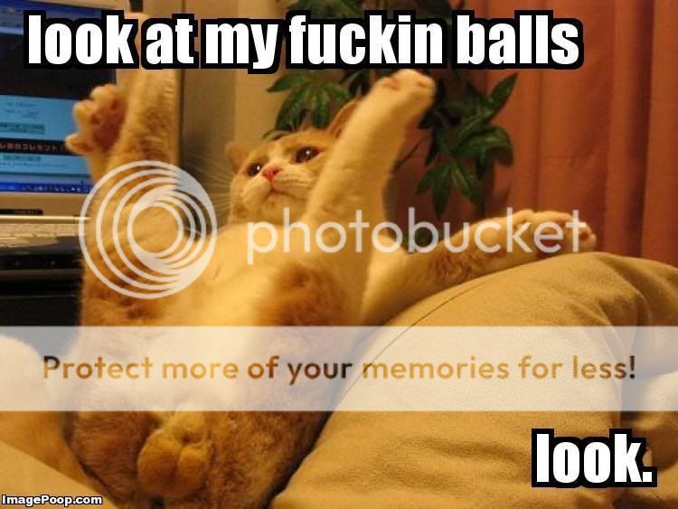 look_at_my_fuckin_balls.jpg