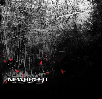 newbreed_cover-709148.jpg