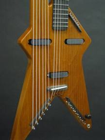 electr%20harpguitar.jpg