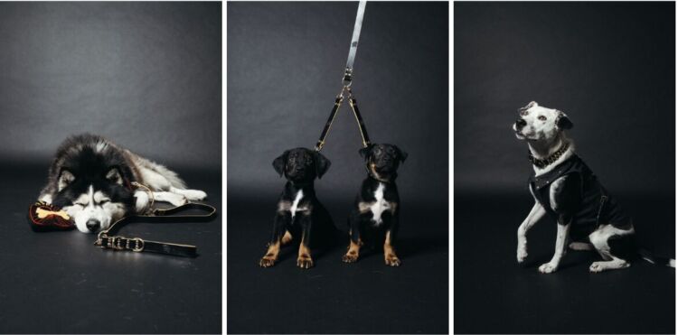 freakleash3425-750x371.jpg