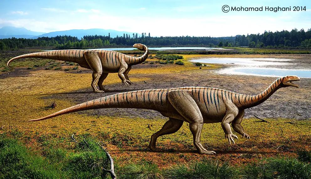 317_plateosaurus_mohamad_haghani.jpg