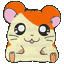 hamtaro.gif