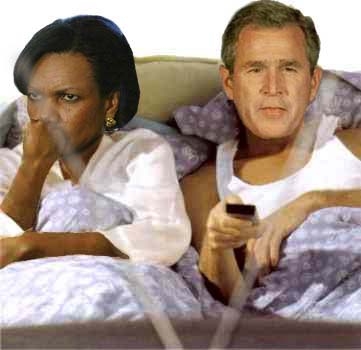 condi_bush_bed.jpg