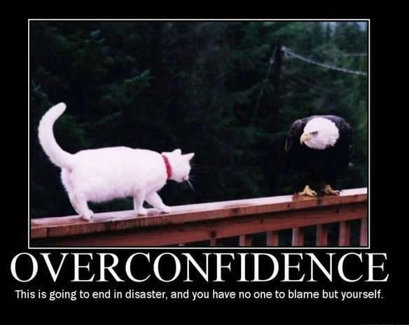 over-confidence-cat-eagle-demotivational-poster.jpg