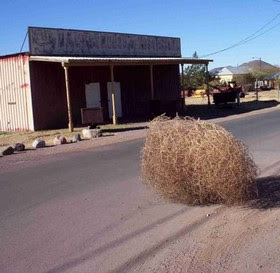 tumbleweed_small.jpg