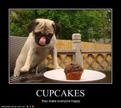 funny-dog-pictures-cupcakes-happy.jpg