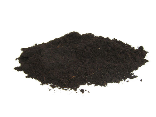 dirt-pile.jpg