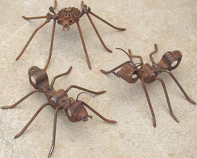 ants-spider.jpg