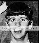 Ringo.jpg