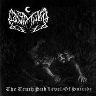The_Tenth_Sub_Level_of_Suicide_Cover.jpg