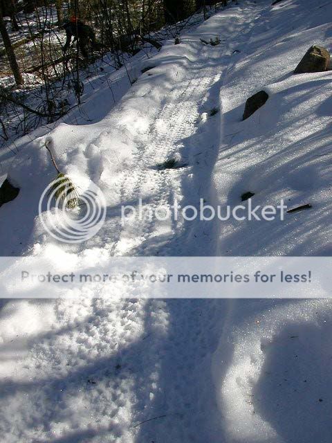 snowytiretracks2.jpg