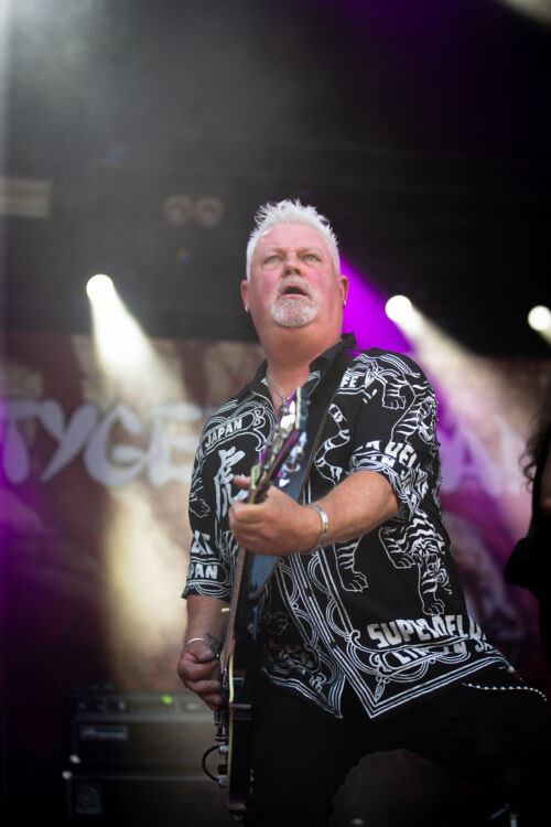 ttr_tygersofpantang_stefanjohansson-500x750.jpg