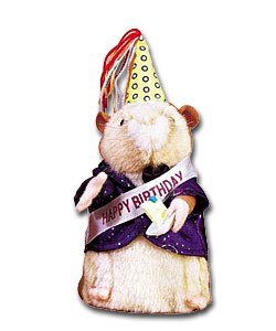 unbranded-happy-birthday-hamster.jpg